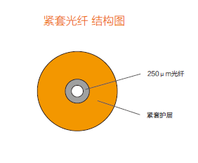 安博（体育中国）官方网站